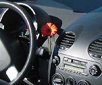 vw_bug_flower.jpg