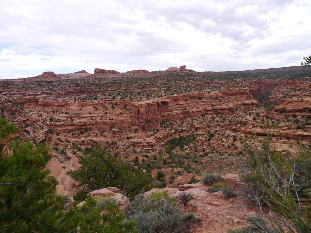 P1090064.JPG