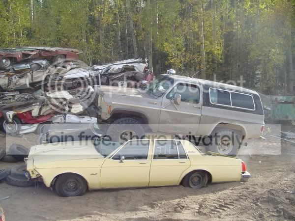 carCrush021600x450.jpg