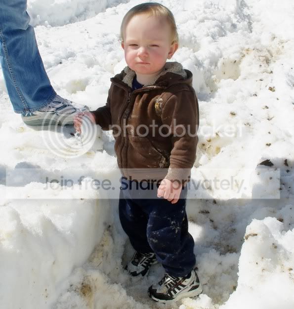 WillSnow.jpg