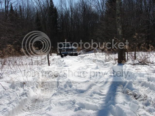 DSC01566.jpg