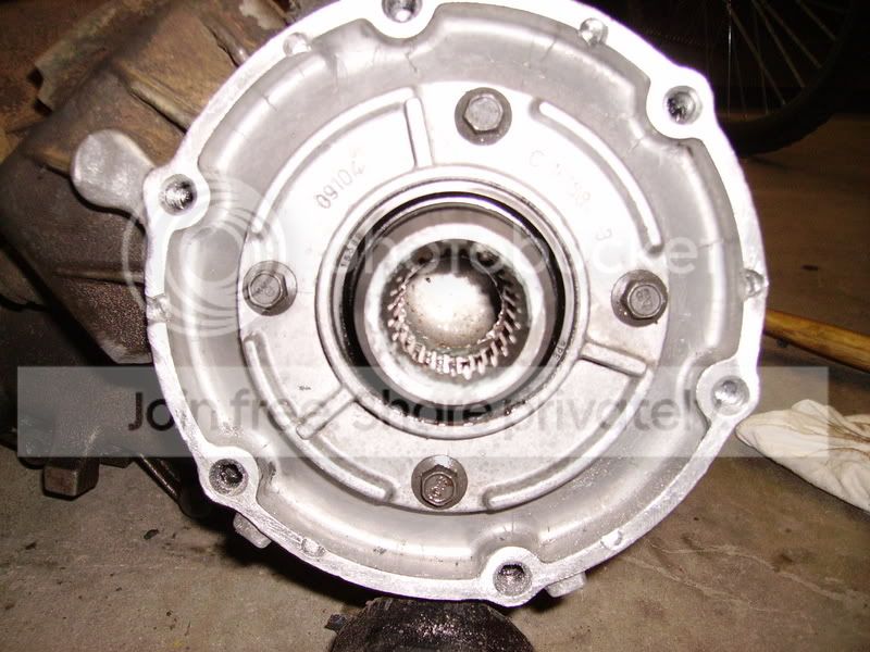 PICT0972.jpg