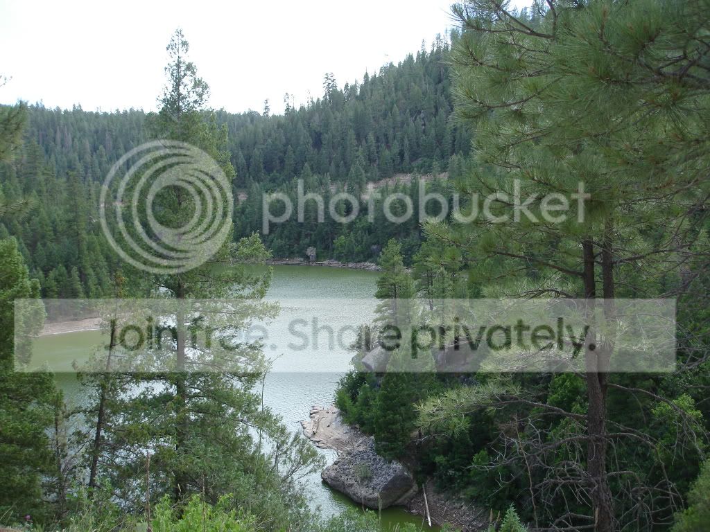 DSC06008.jpg