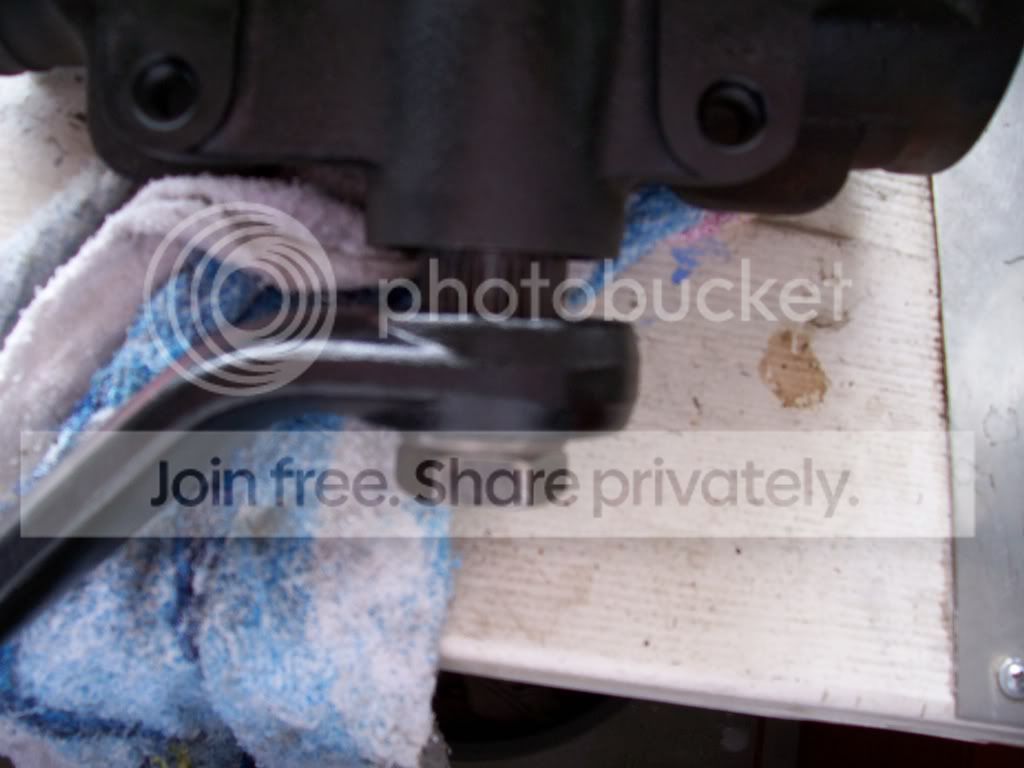 carpics107271.jpg