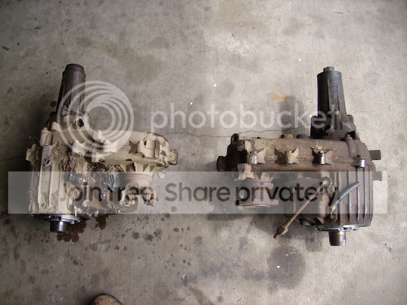 PICT0948.jpg