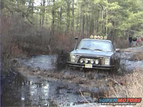 roothole4.jpg