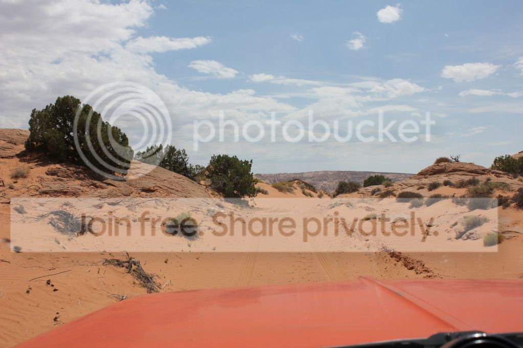IMG_5295.jpg