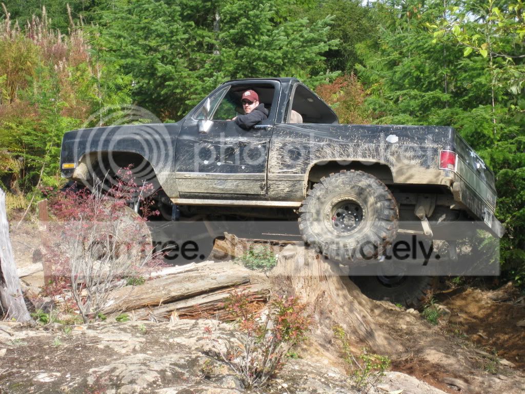 IMG_1517.jpg