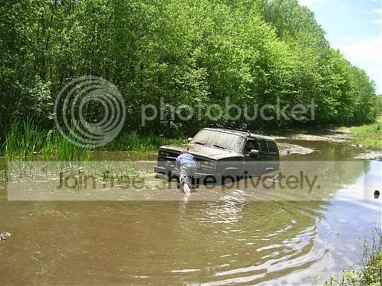 Picture_276-1.jpg