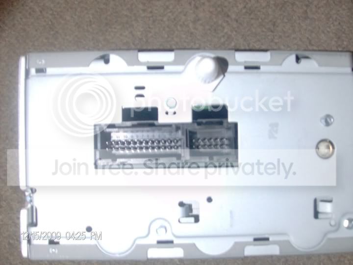 back.jpg