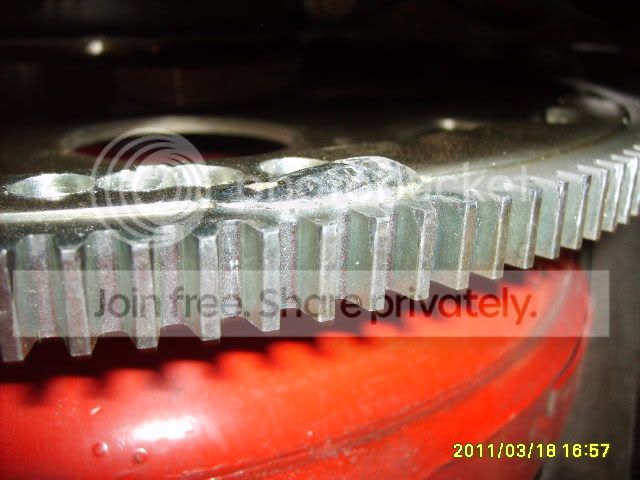 S5000305.jpg