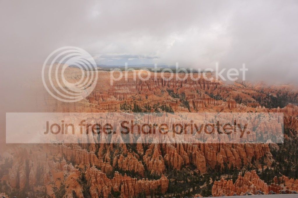 IMG_0597_zps9wt4xqek.jpg
