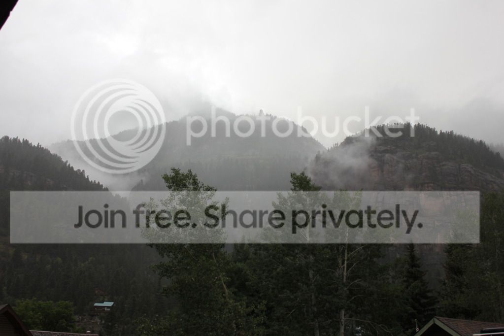 IMG_6335.jpg