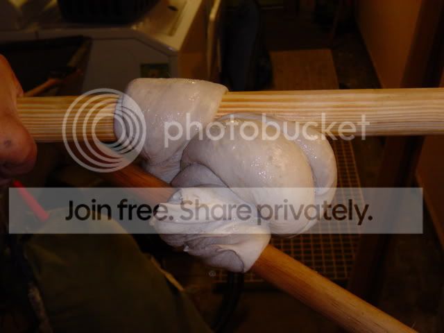DSC04529.jpg