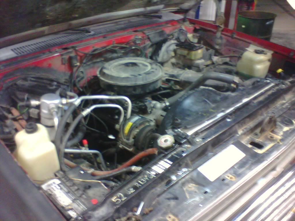 IMG0165A.jpg