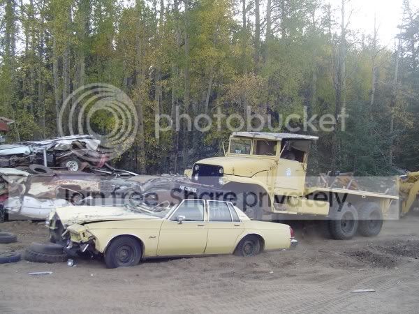 carCrush032600x450.jpg