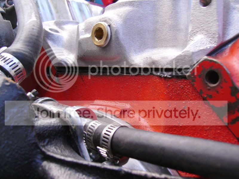 PICT0217.jpg