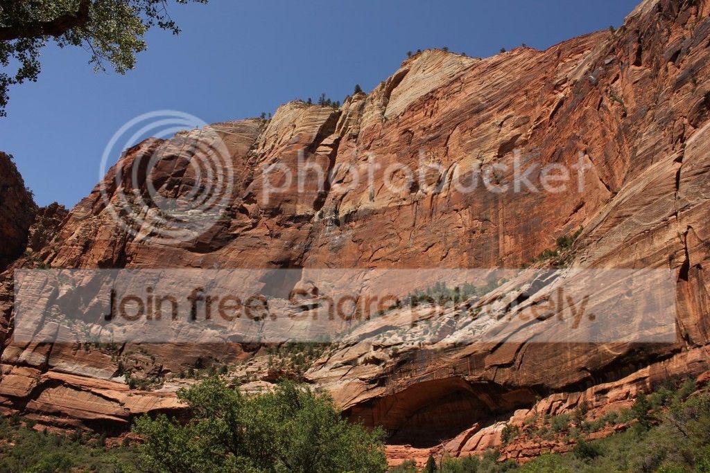 IMG_0214_zpsgshqs2oe.jpg