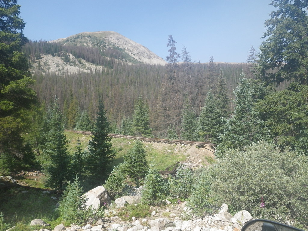 43677694872_20f95c957f_b.jpg
