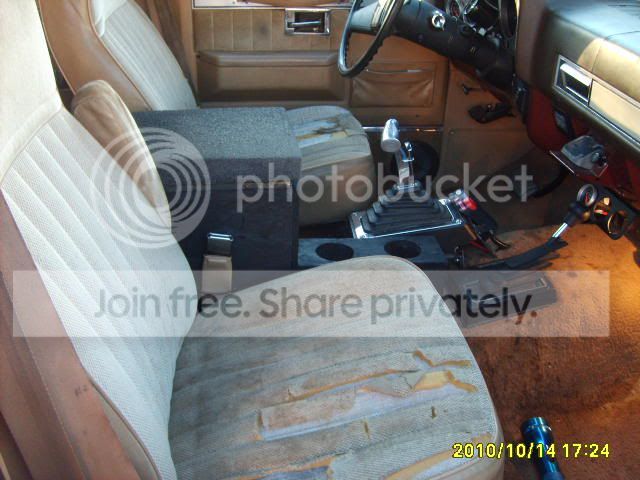 S5000079.jpg