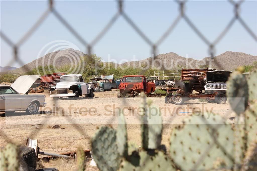 IMG_1137Medium_zpsf59d33a4.jpg