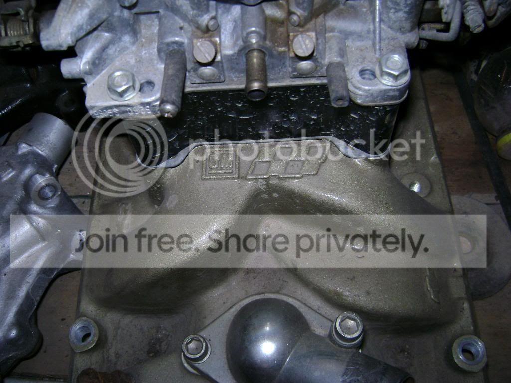 DSC00495.jpg