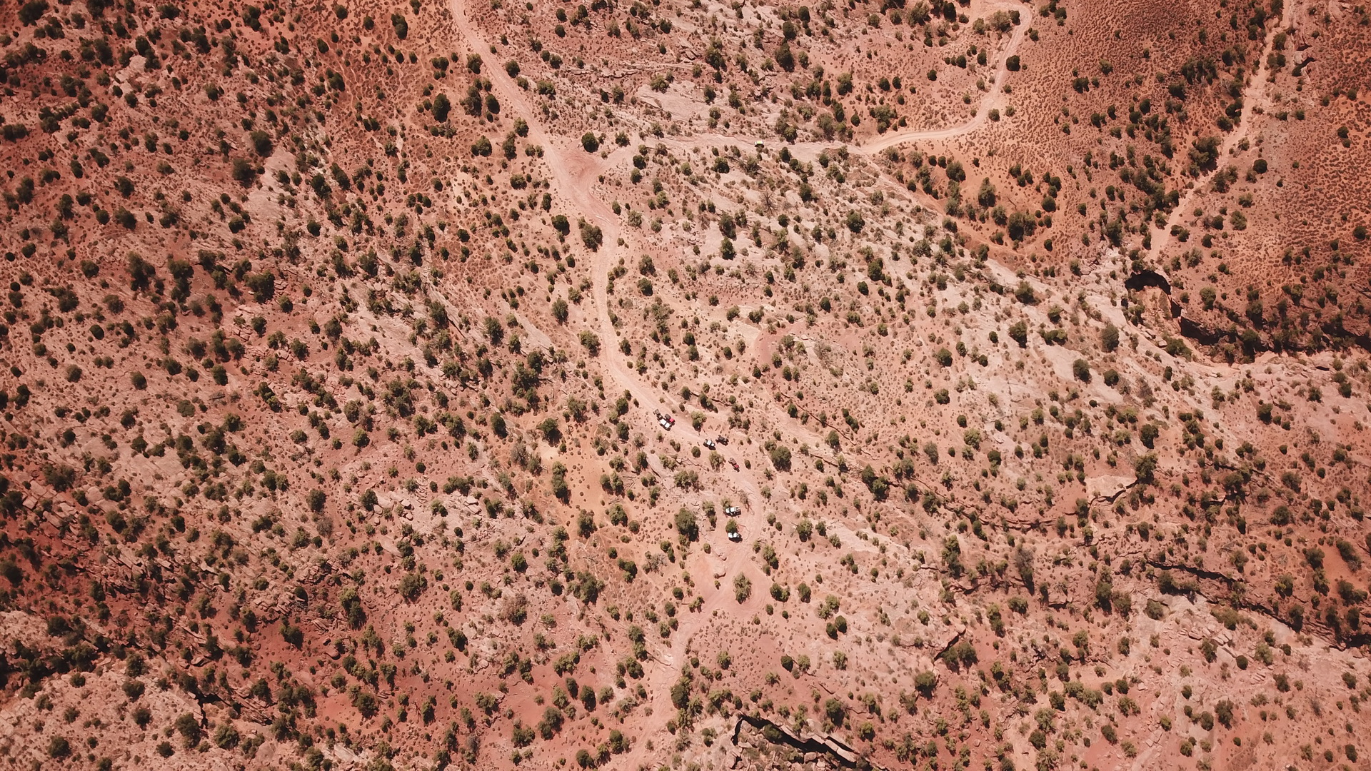 DJI_0049.JPG