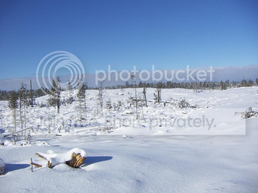PICT0941.jpg