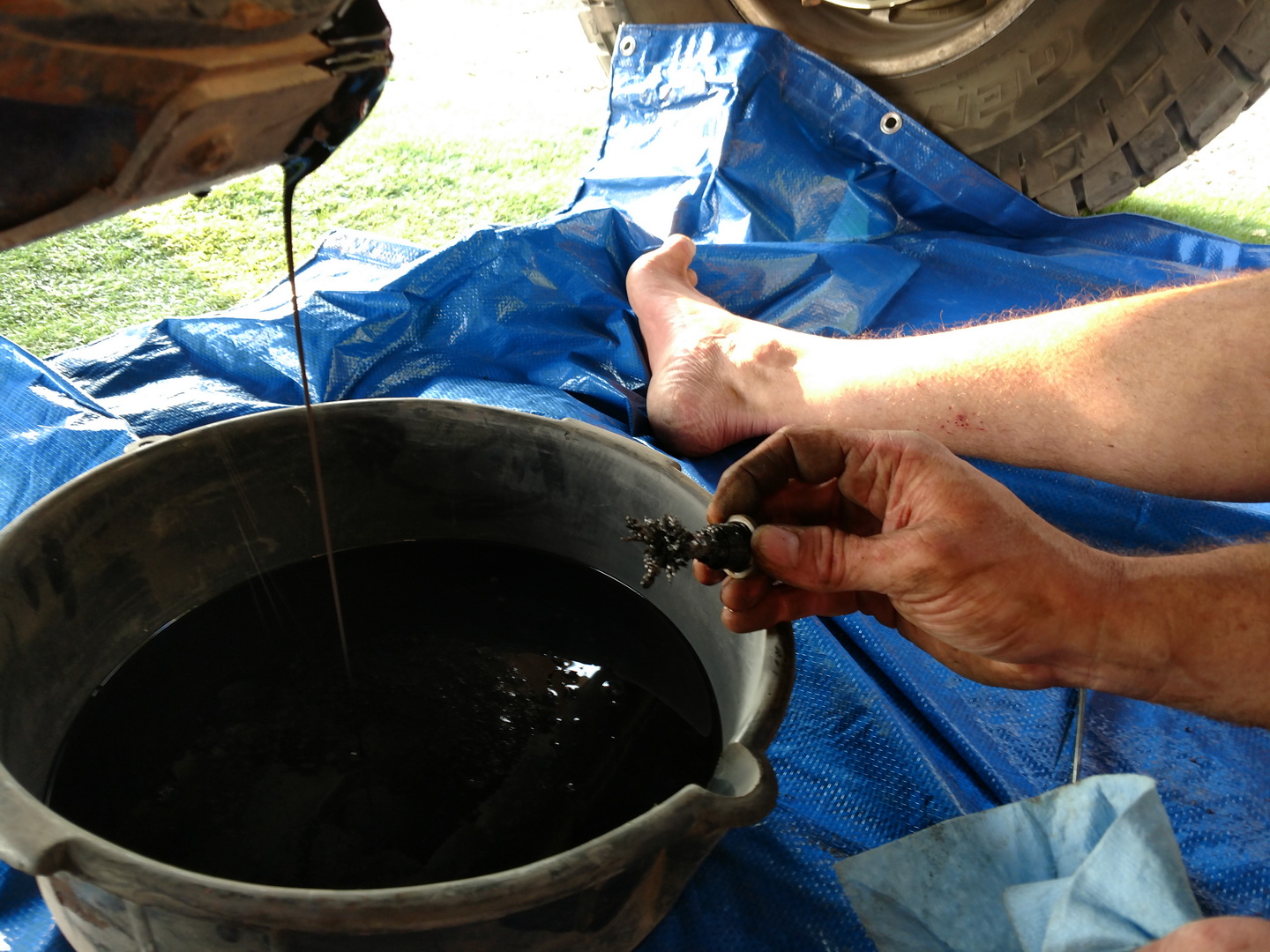 IMG_20170907_080947196.jpg