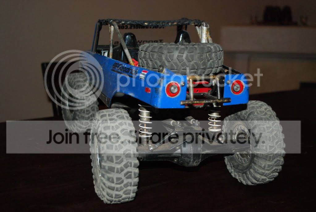 scout005.jpg