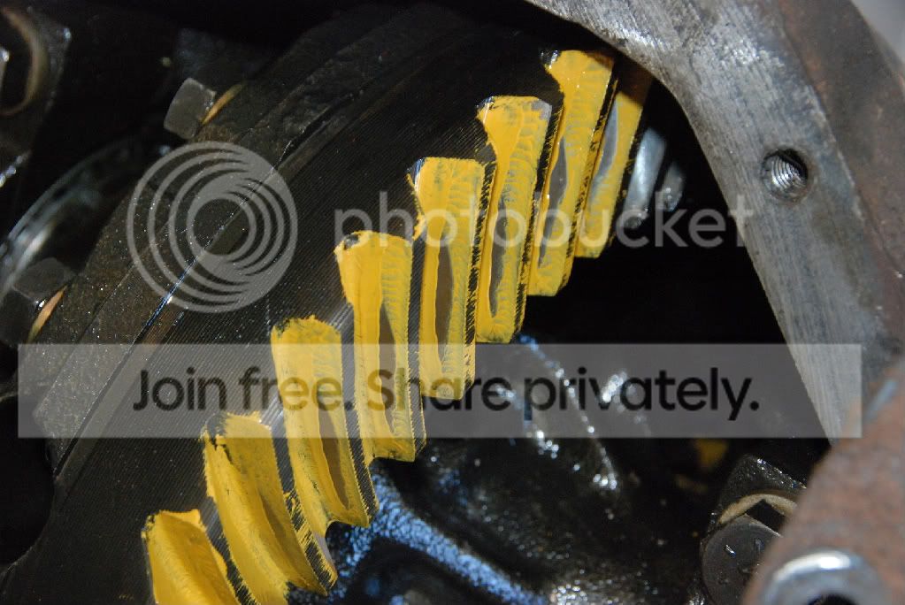 DSC_5401.jpg