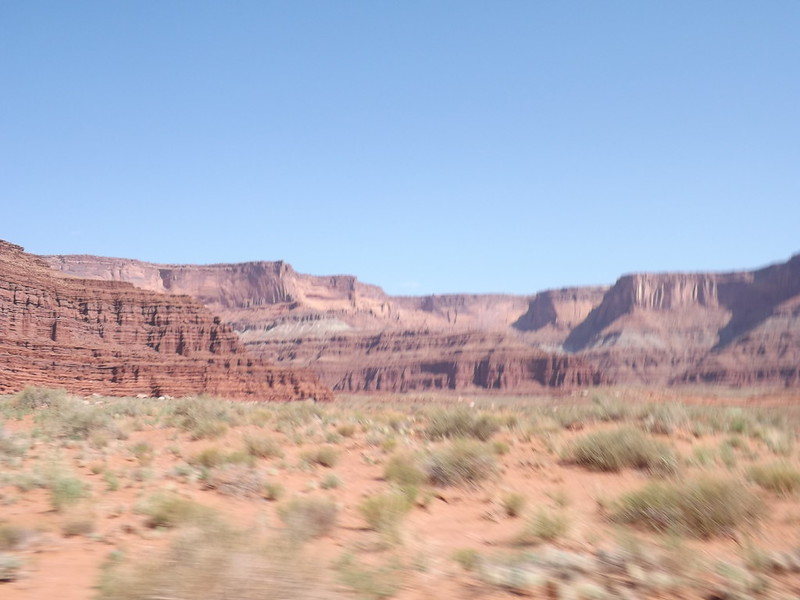51488768380_501ee32515_c.jpg