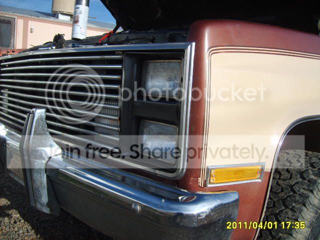 S5000335.jpg