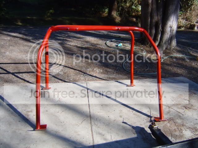 cage3.jpg