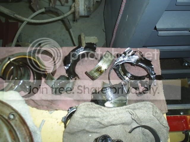 S4010036-1.jpg