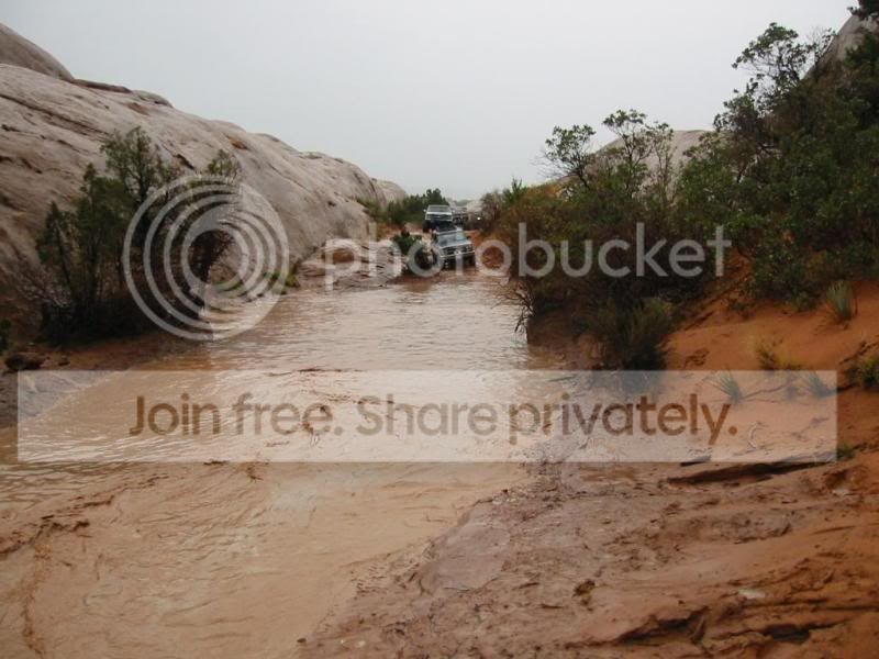 111-1162_IMG.jpg