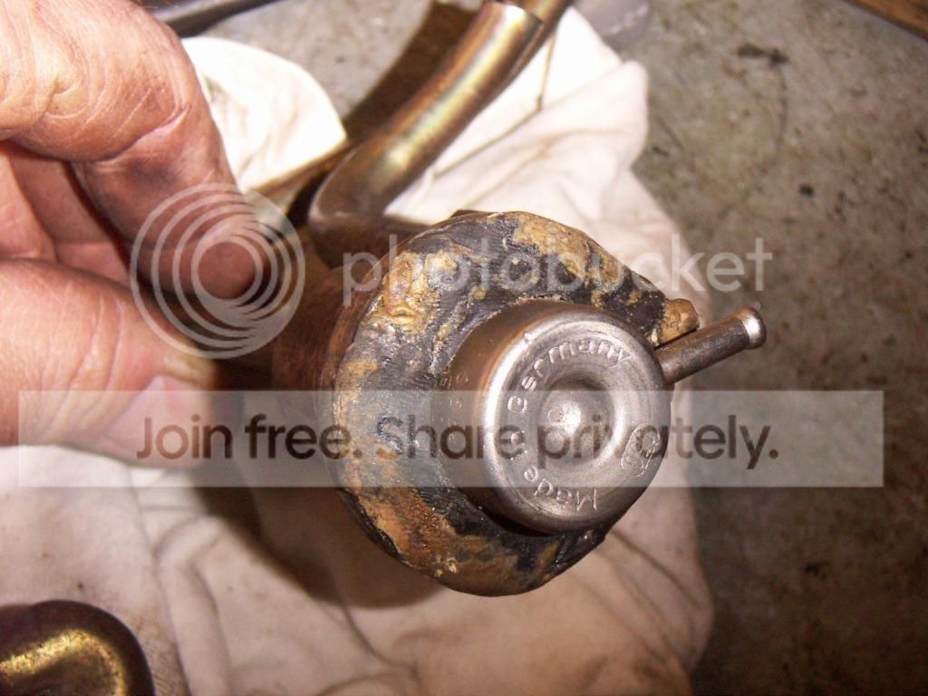 PICT0620.jpg