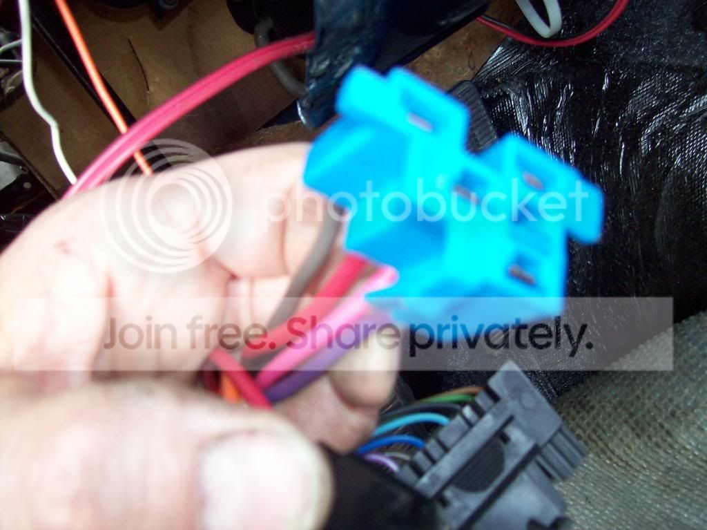 100_1179.jpg