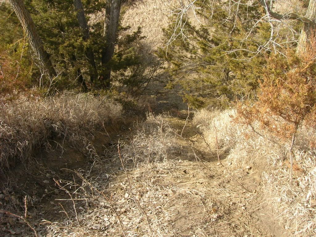 Picture013.jpg