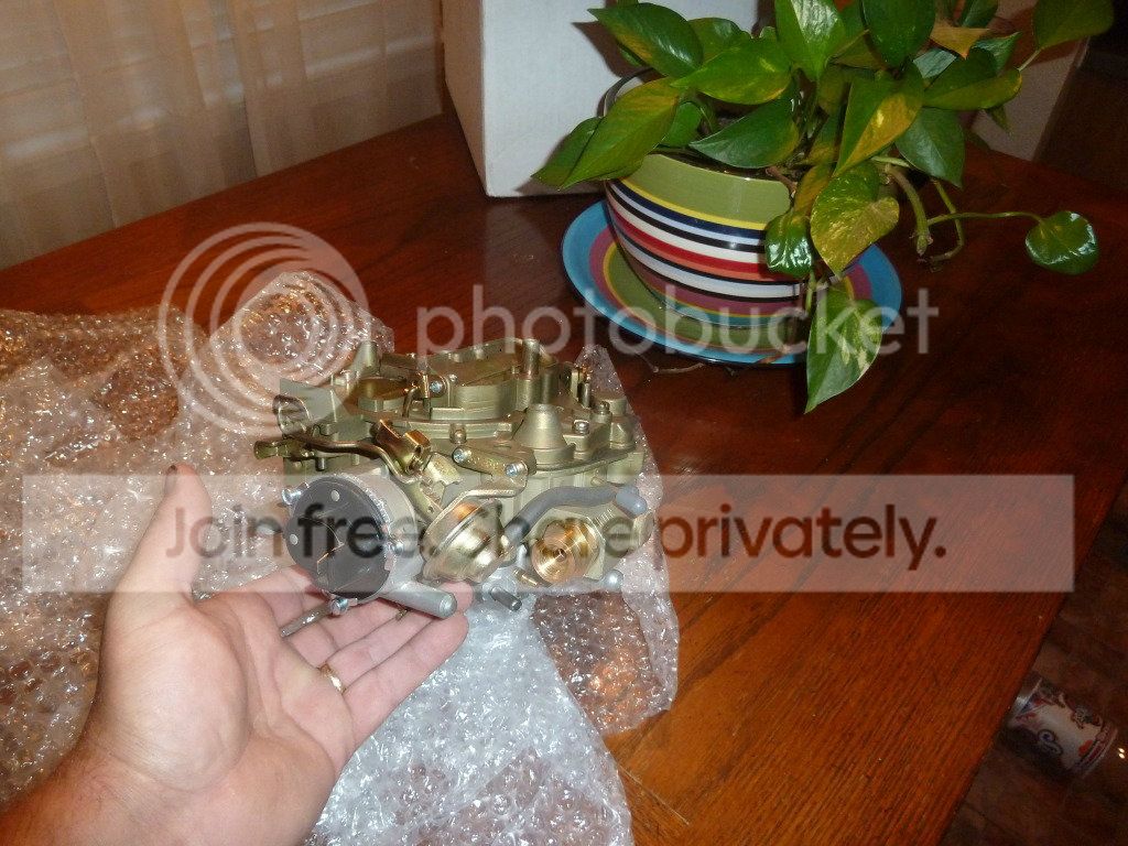 AAA744002.jpg