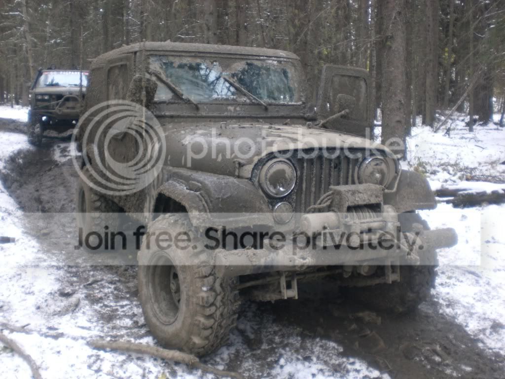 CIMG2984.jpg