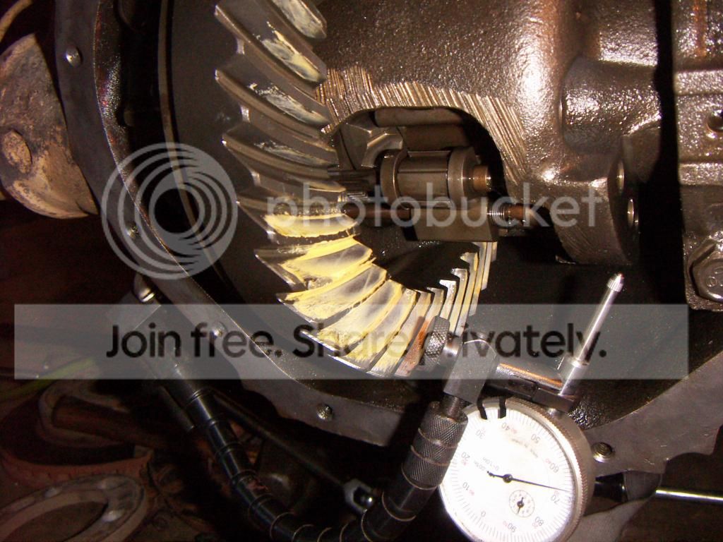 PICT0748.jpg