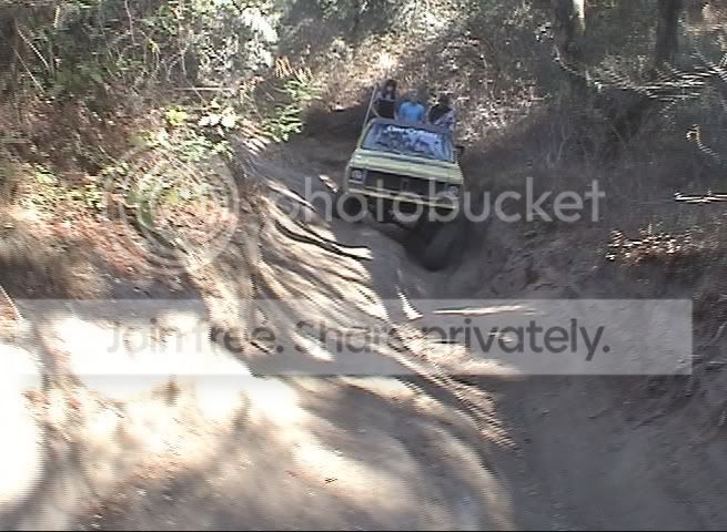 Image5.jpg