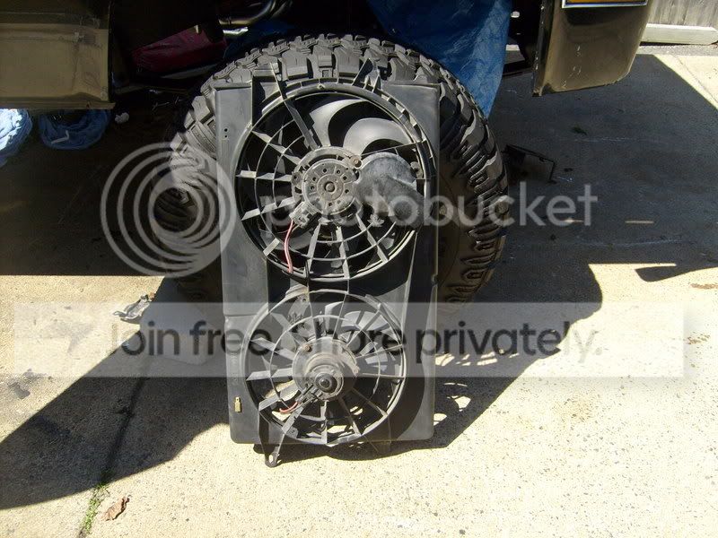 pictures001-2.jpg
