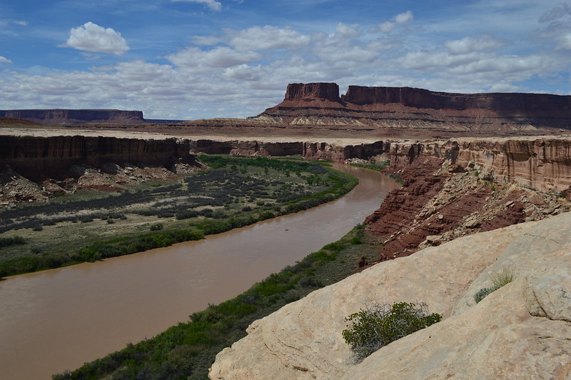 18015310550_0f987997c3_c.jpg