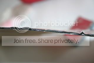 IMG_2275.jpg