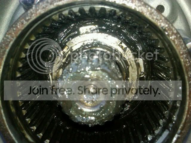 IMG00288-20110215-1645.jpg