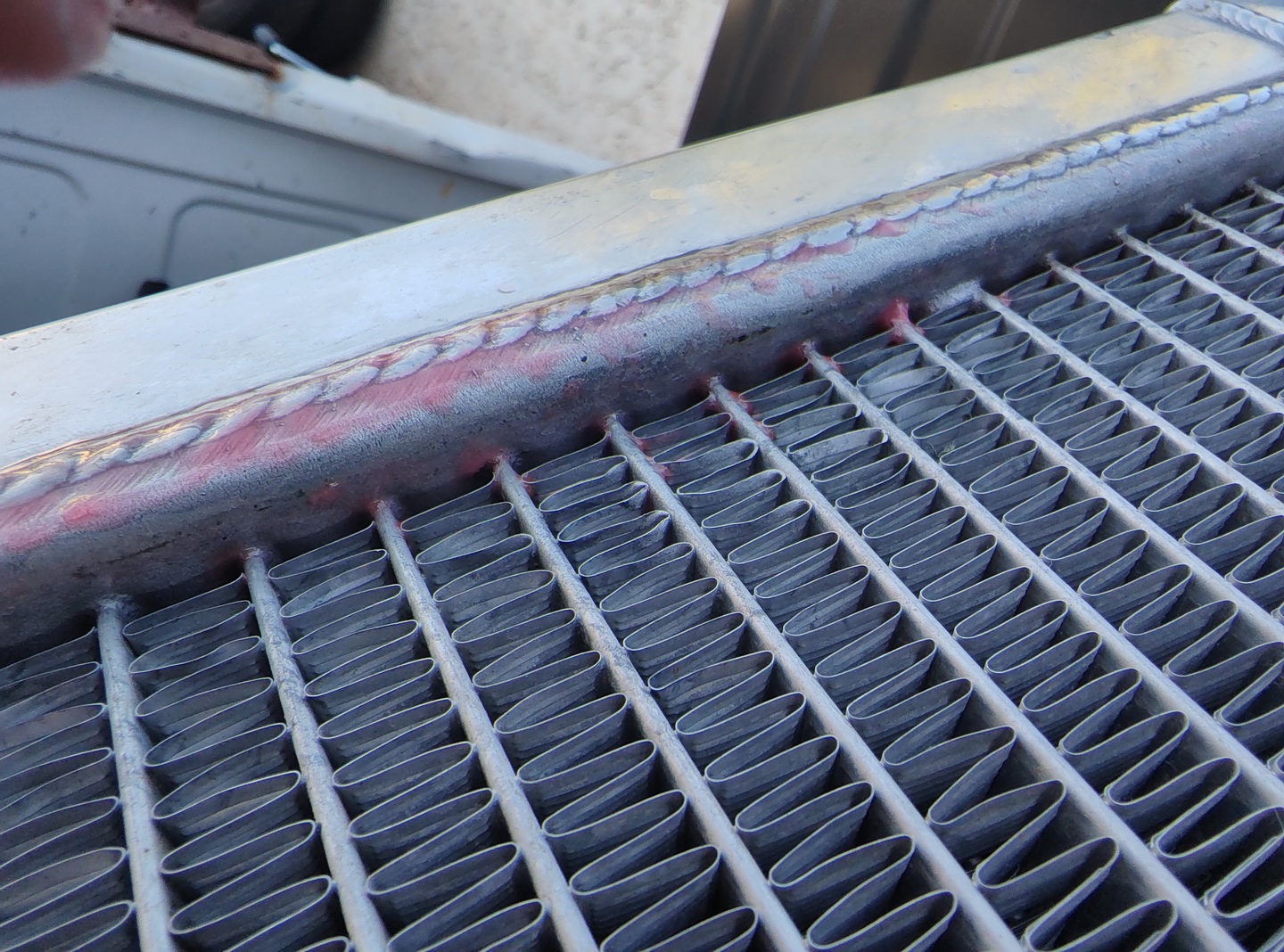 IMG_20241102_075441219.jpg