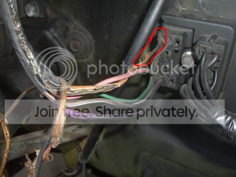 CIMG4319Medium.jpg