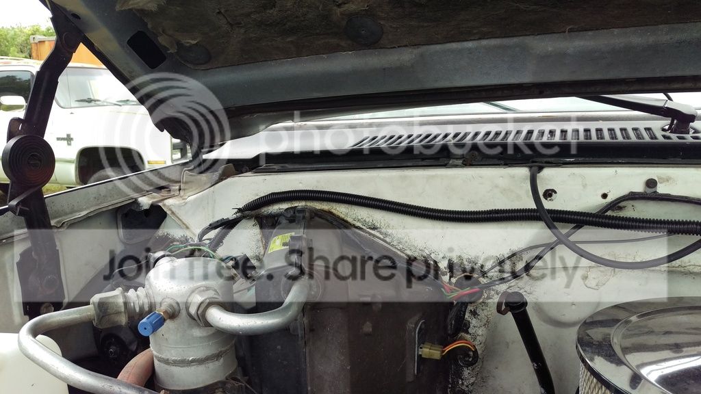 IMAG07431_zps561mr8ic.jpg